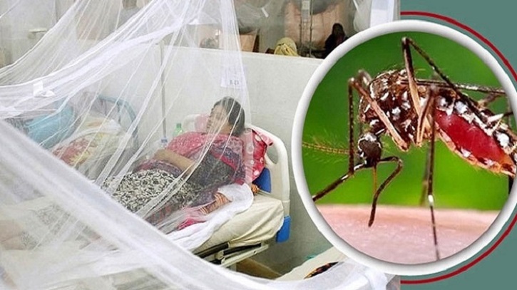 ডেঙ্গুতে একদিনে আরও ৬ মৃত্যু
