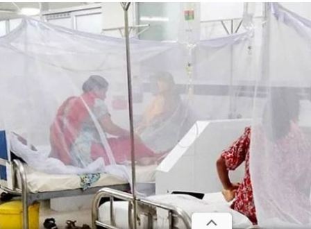 ডেঙ্গুতে একদিনে সর্বোচ্চ ১১ জনের মৃত্যু