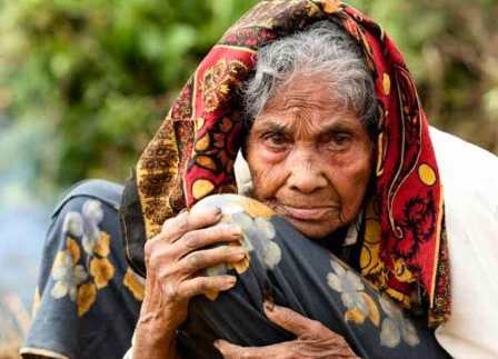 ৬২ লাখ প্রবীণকে ভাতা দিচ্ছে সরকার